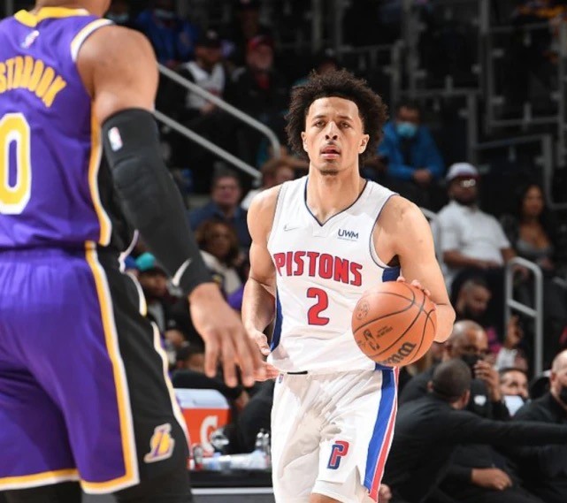 蓝军的伊瓜 蓝军的伊瓜